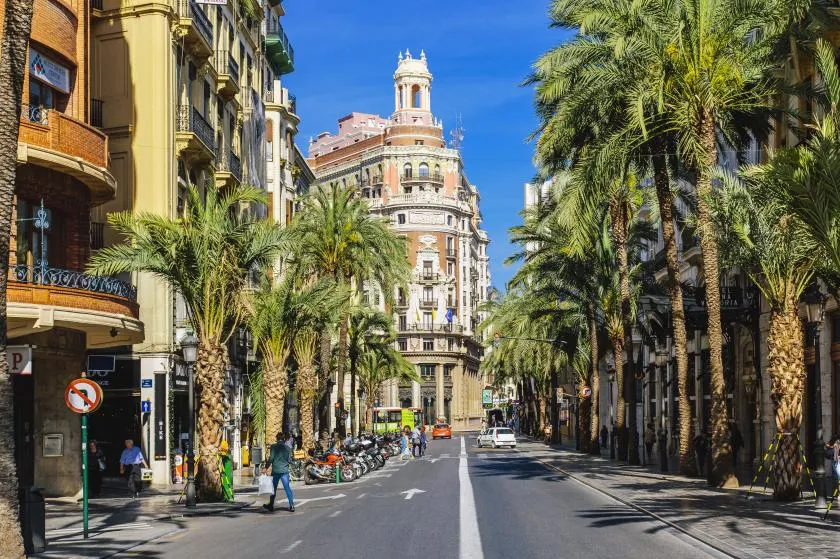 Eine Palmenallee in Valencia, mit modernen Gebäuden im Hintergrund und strahlendem Sonnenschein.