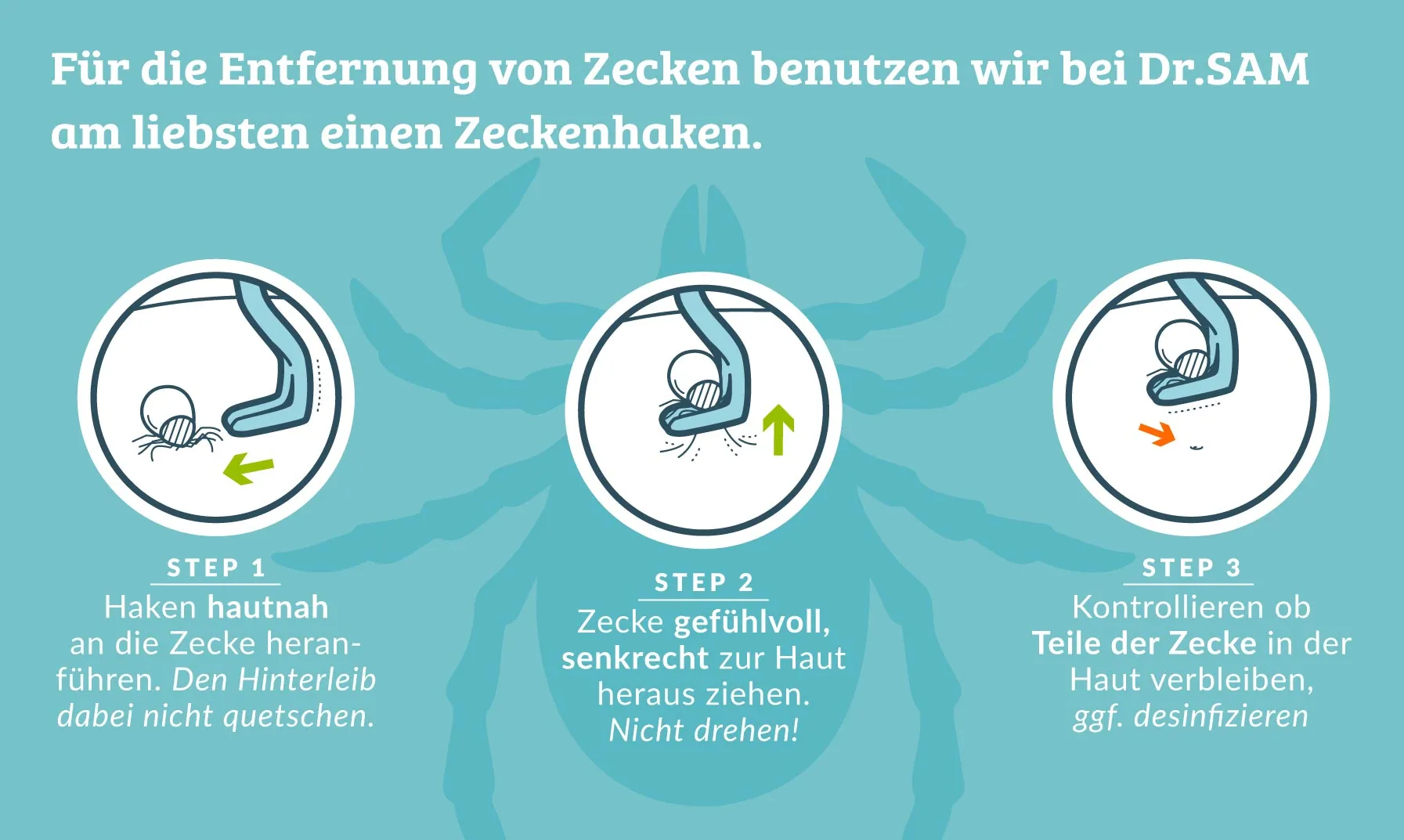 Eine Zecke wird vorsichtig mit einer Pinzette aus dem Fell einer Katze entfernt, detailgetreu dargestellt