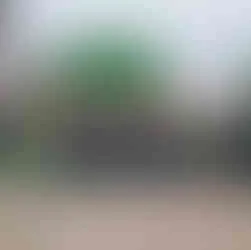 Eintracht Frankfurt Jungen mit Kindern