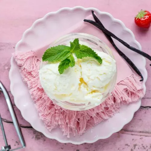 Eis selber machen ohne Eismaschine: Nahaufnahme einer Schale mit selbstgemachtem Vanilleeis