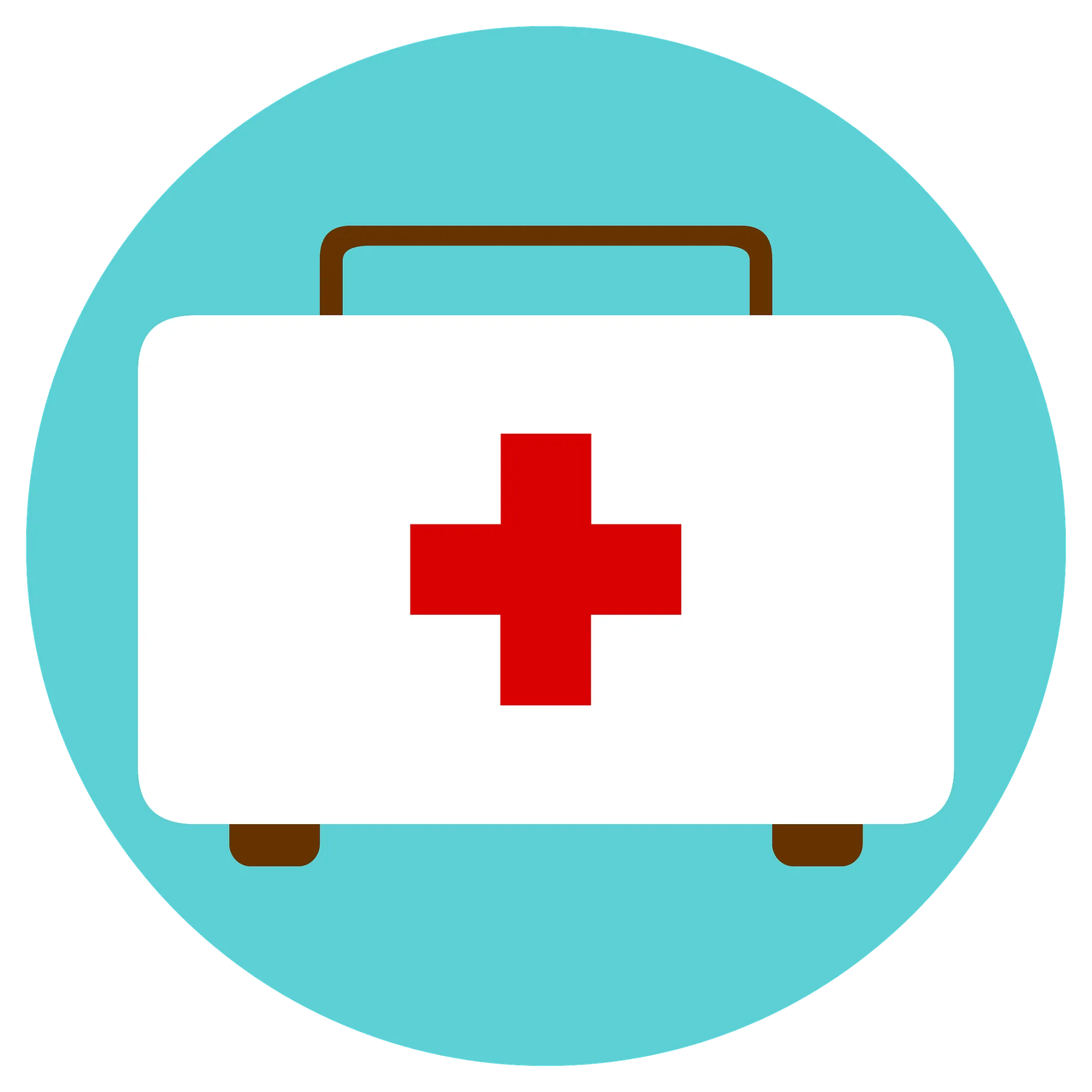 Erste-Hilfe-Set mit Tiermedikamenten, symbolisch