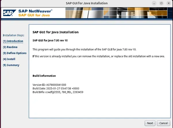 Erster Schritt im SAP GUI Installationsassistenten: Bestätigung mit "Next"