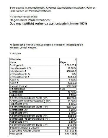 Excel-Arbeitsblatt mit formatierten Währungs- und Prozentwerten sowie Diagrammen.
