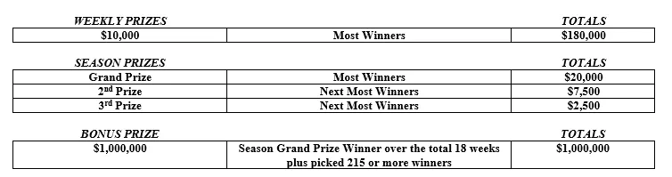 Fans bejubeln ein Tor in einem vollen Stadion