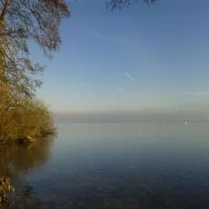 Ferienhaus direkt am Wittensee mit Ruderboot