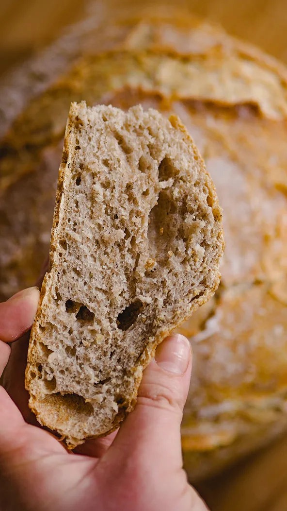 Fertig gebackenes Brot auf einem Drahtgitter zum Abkühlen