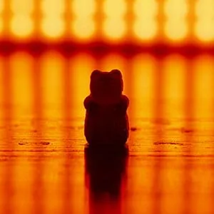 Fertige Cola-Gummibärchen appetitlich angerichtet