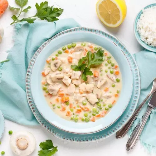 Fertiges Hühnerfrikassee, angerichtet und bereit zum Servieren