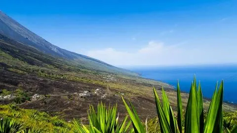 Fogo - Grüner Inselnorden | © Vem Conhecer Cabo Verde / Chamäleon