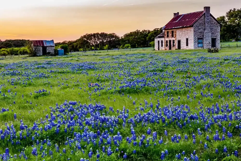 Foto aus dem Texas Hill Country