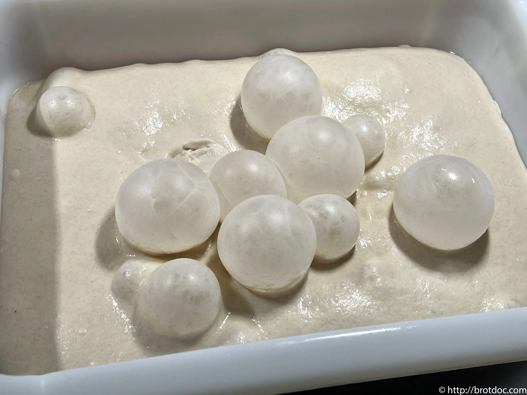 Frisch angesetzter Teig für Fladenbrot in der Wanne, der lebendig Blasen bildet