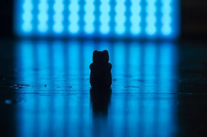 Frisch zubereitete Gummibärchen in verschiedenen Farben und Geschmacksrichtungen