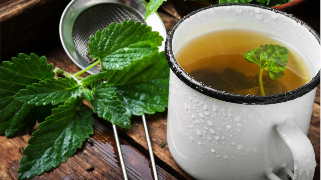Frischer Pfefferminztee belebt und wirkt krampflösend bei Bauchschmerzen.
