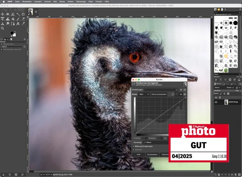 Für Puristen: Gimp bietet viele Funktionen, erfordert aber eine Einarbeitungszeit, um das volle Potenzial auszuschöpfen.