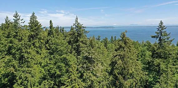 Fußballspieler im Trikot des Lieblingsvereins, der jubelnd vor einer jubelnden Menge steht