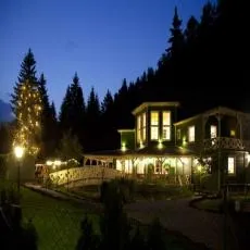 Gemütliches Ferienhaus mitten im Wald