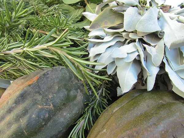 Gerösteter Kürbis und karamellisierte Zwiebeln in einer Schüssel