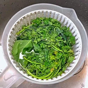 Gewaschene und trockengeschleuderte Kräuter, bereit für die Grüne Soße