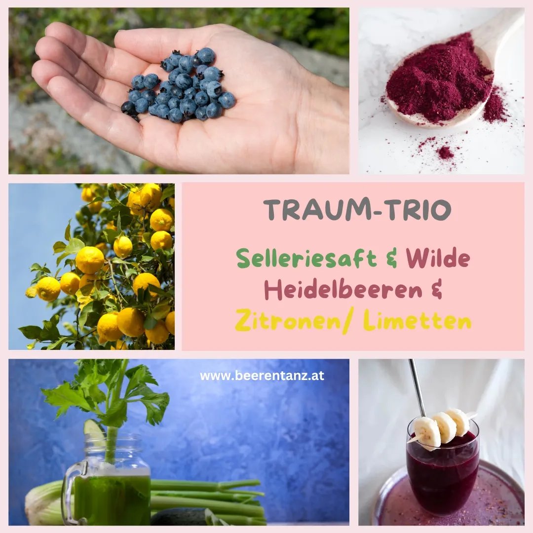 Grafik mit Fotos von Heidelbeer-Smoothie, Selleriesaft, Heidelbeerpulver, Zitronenbaum, Hand mit Wildheidelbeeren