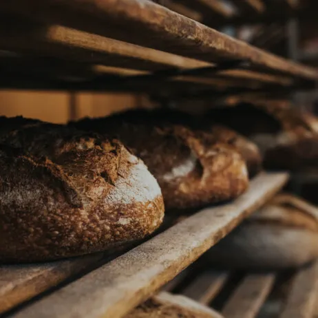 Großer Laib Sironi Brot aus dem Ofen