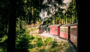Grüne Naturlandschaft im Harz mit bewaldeten Hügeln und einer offenen Fläche