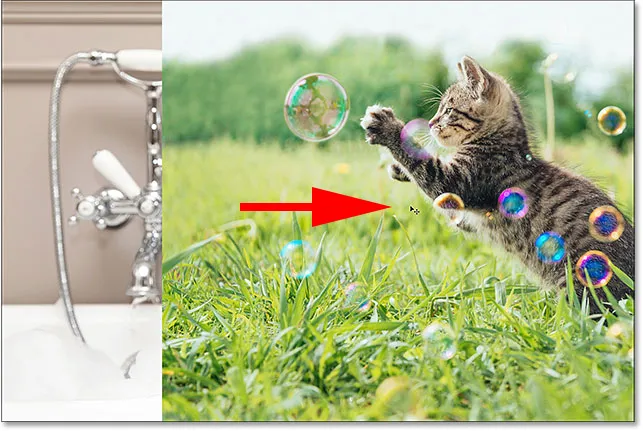 Halten Sie Shift gedrückt, während Sie die 'Katze'-Ebene nach rechts ziehen.