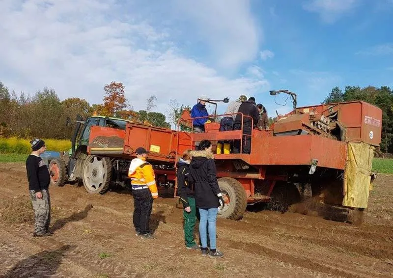 Hände, die ein schützendes Dach über eine kleine Pflanze bilden