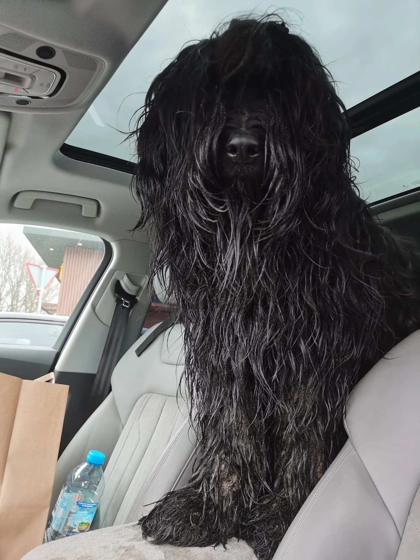 Hawkins in nördlichem Deutschland