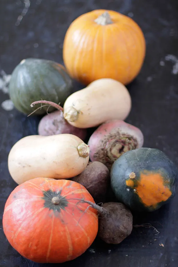 Herbstliche Kürbisse und eine frisch gebackene Quiche auf einem Holztisch