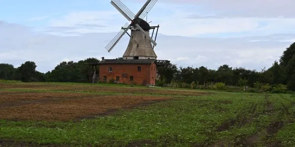 Historische Windmühle Fortuna in Mecklenburg-Vorpommern