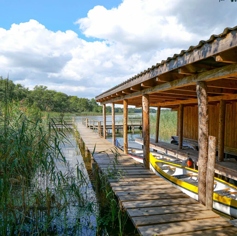 Historisches Gut Groß Zecher mit seinen beeindruckenden Gebäuden und der malerischen Allee