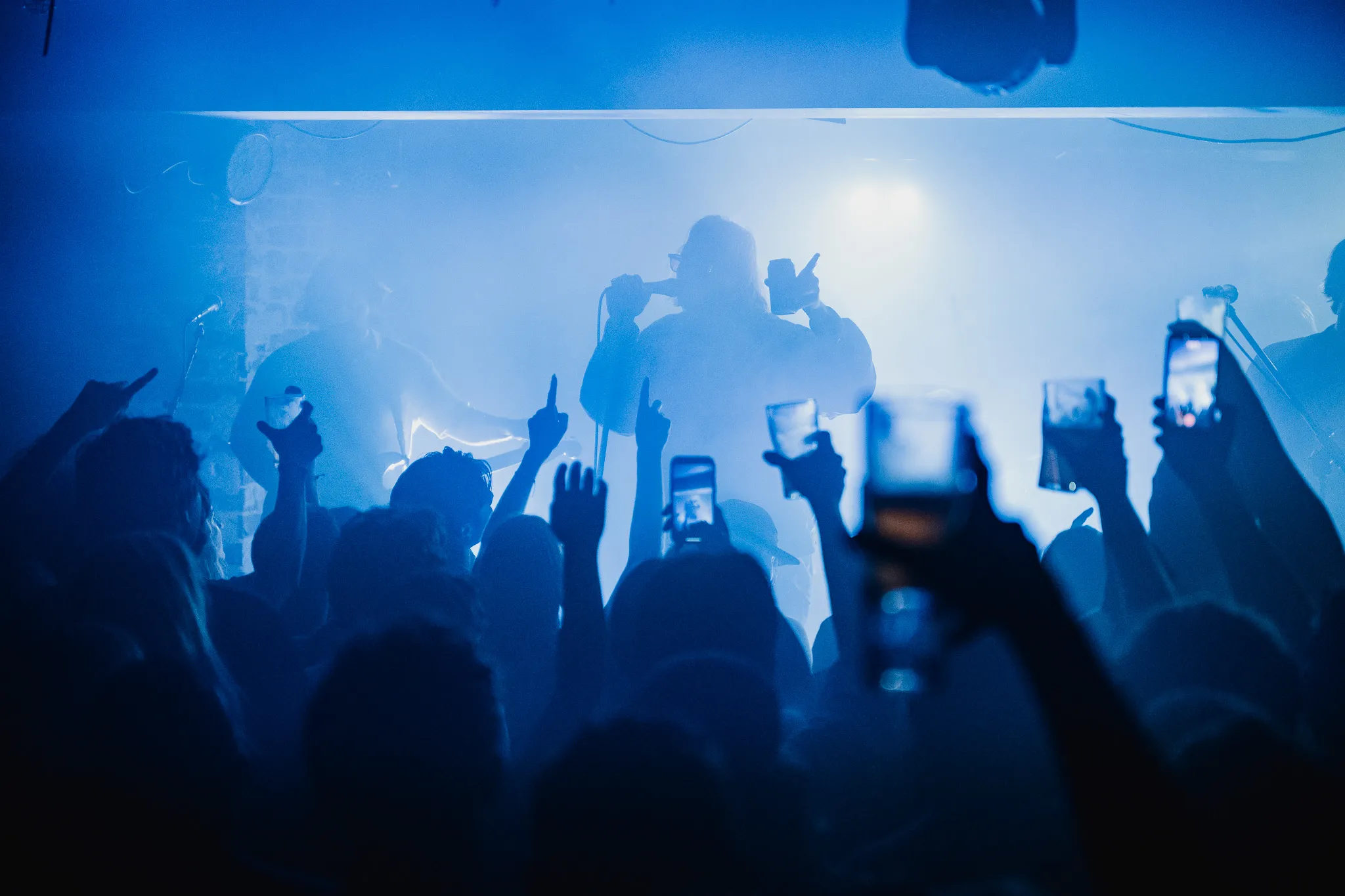 Hund schläft entspannt in einem gut belüfteten Hundekäfig im Auto während einer Reise