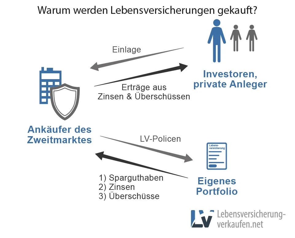 Info-Grafik zu den Gründen für den Kauf von Lebensversicherungen