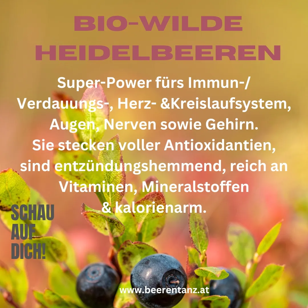 Infografik über die Vorteile Wilder Heidelbeeren
