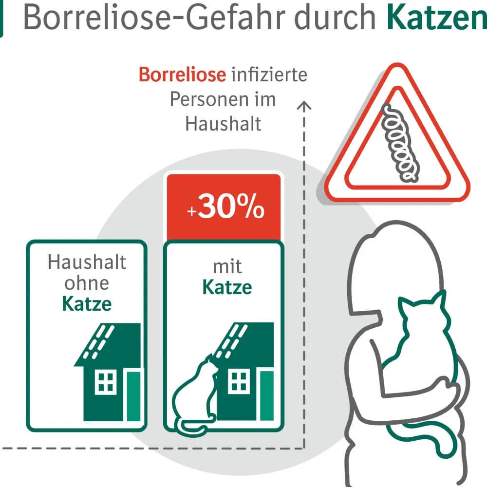 Infografik zur Bedeutung des Zeckenschutzes bei Katzen für Menschen mit Katzen im Haushalt