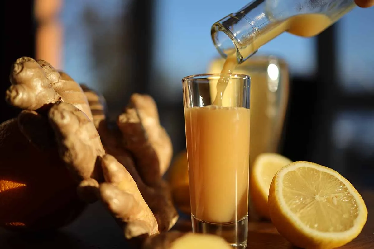 Ingwer Shot selber machen – Rezepte für Mixer & Juicer - Säfte zum Abnehmen