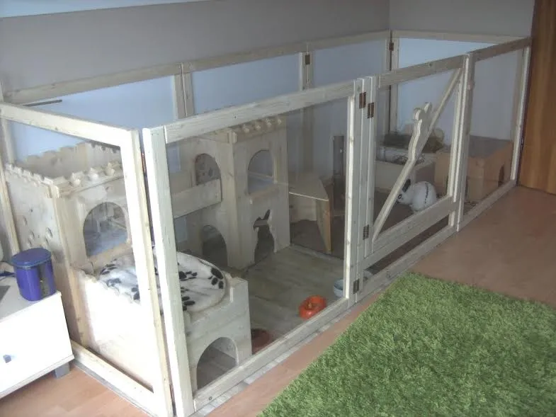 Kaninchen in einem liebevoll eingerichteten Wohnungsgehege