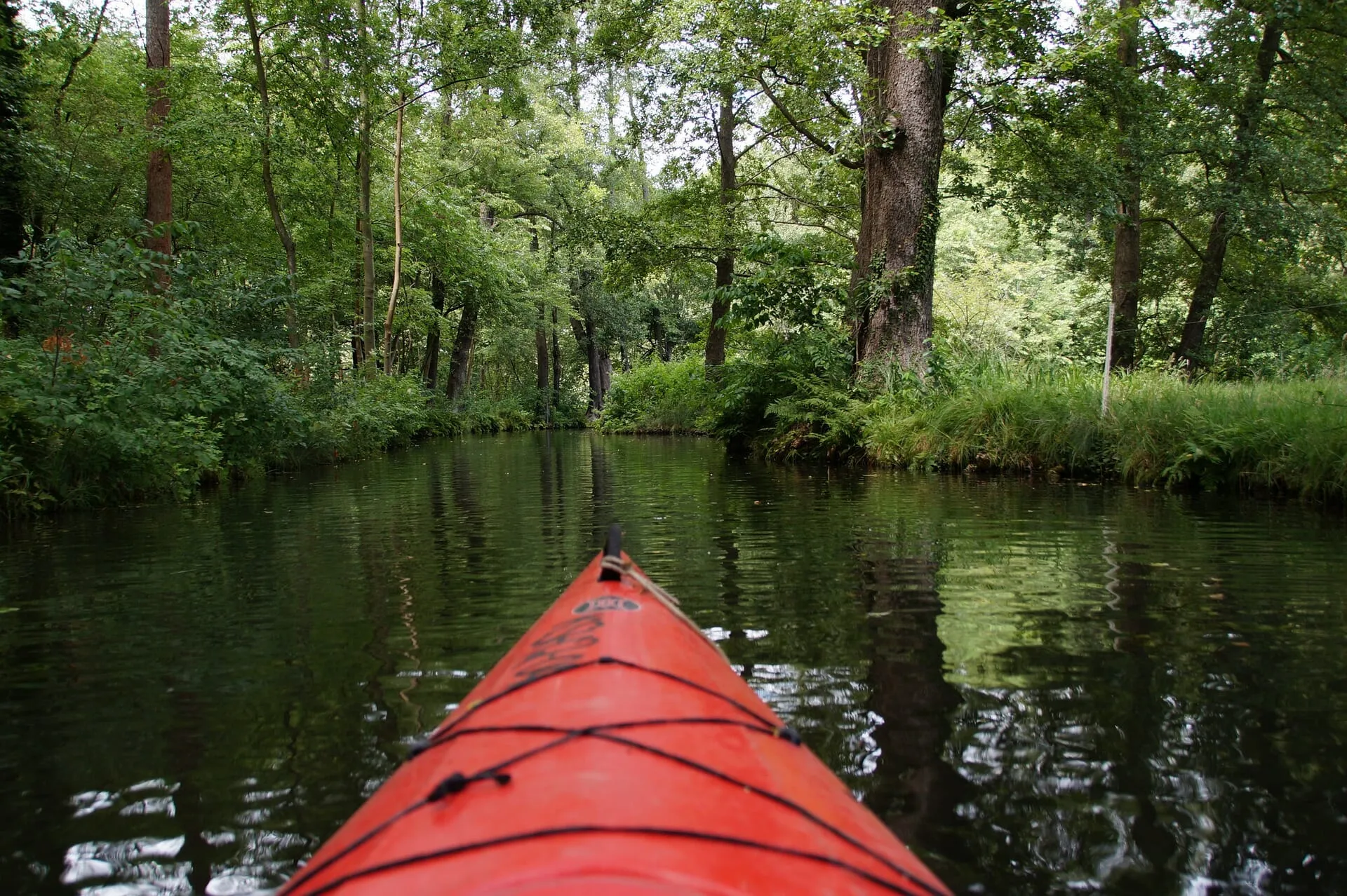 Kanufahren auf der Spree