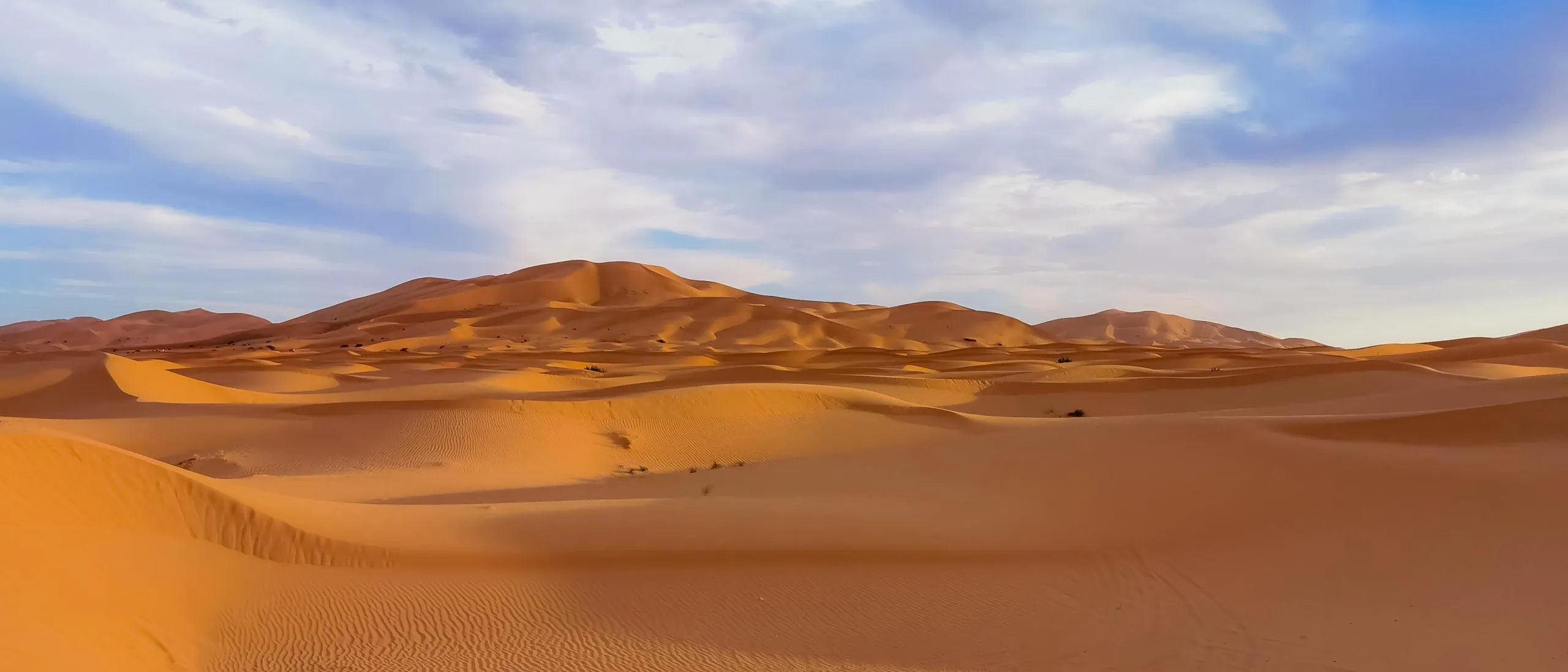 Karawane reitet durch die Wüste Marokkos bei Sonnenuntergang
