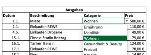 Kategorie über Dropdown anwählen im Haushaltsbuch