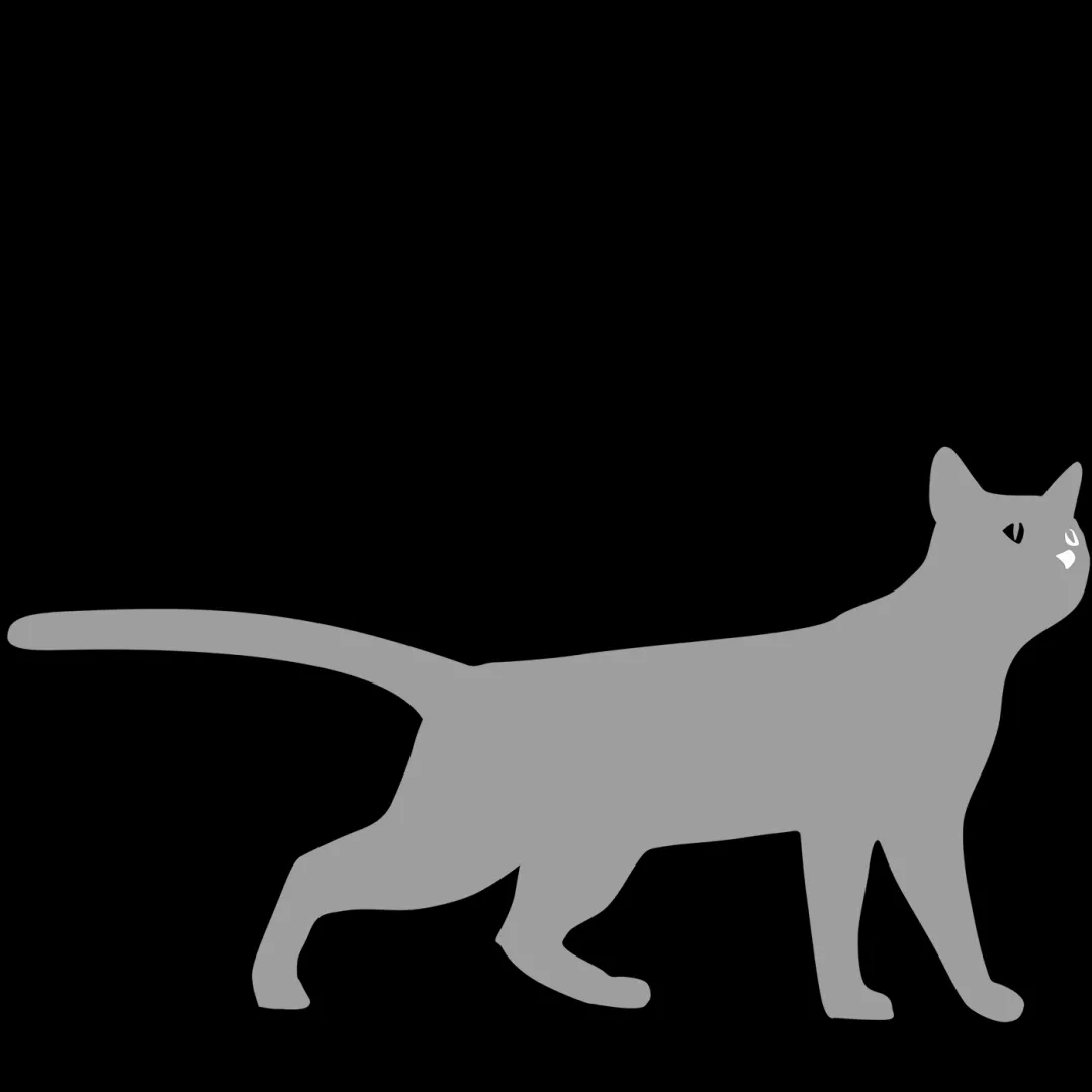 Katze mit freudig erhobenem Schwanz begrüßt den Besitzer