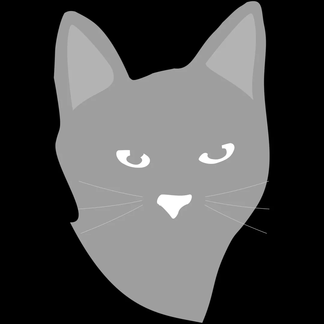 Katze mit neugierigem Gesichtsausdruck