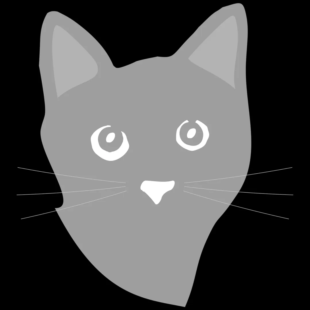 Katzenkopf mit vorwärtsgerichteten Ohren für Spielstimmung