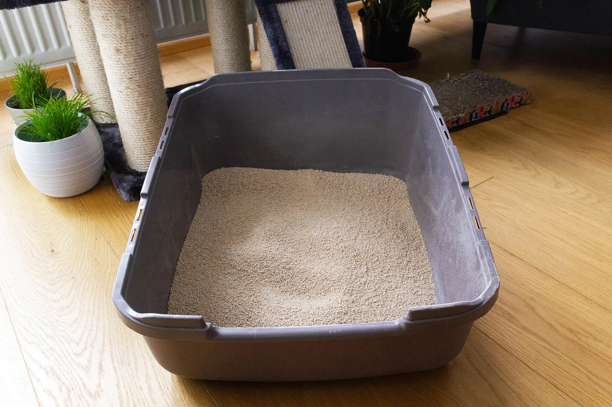 Katzenstreu Test: Catsan Natural Im Klo