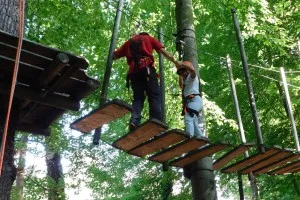Kinder und Erwachsene beim Klettern im Freiraum Kletterwald Freischütz, sichtbar sind Seile und Klettergurte
