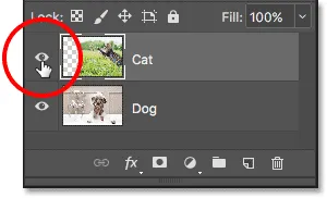Klicken Sie auf das Sichtbarkeitssymbol für die 'Katze'-Ebene.