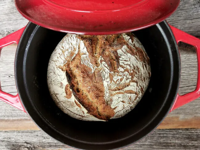 Krustenbrot mit goldbrauner Kruste und offener Porung