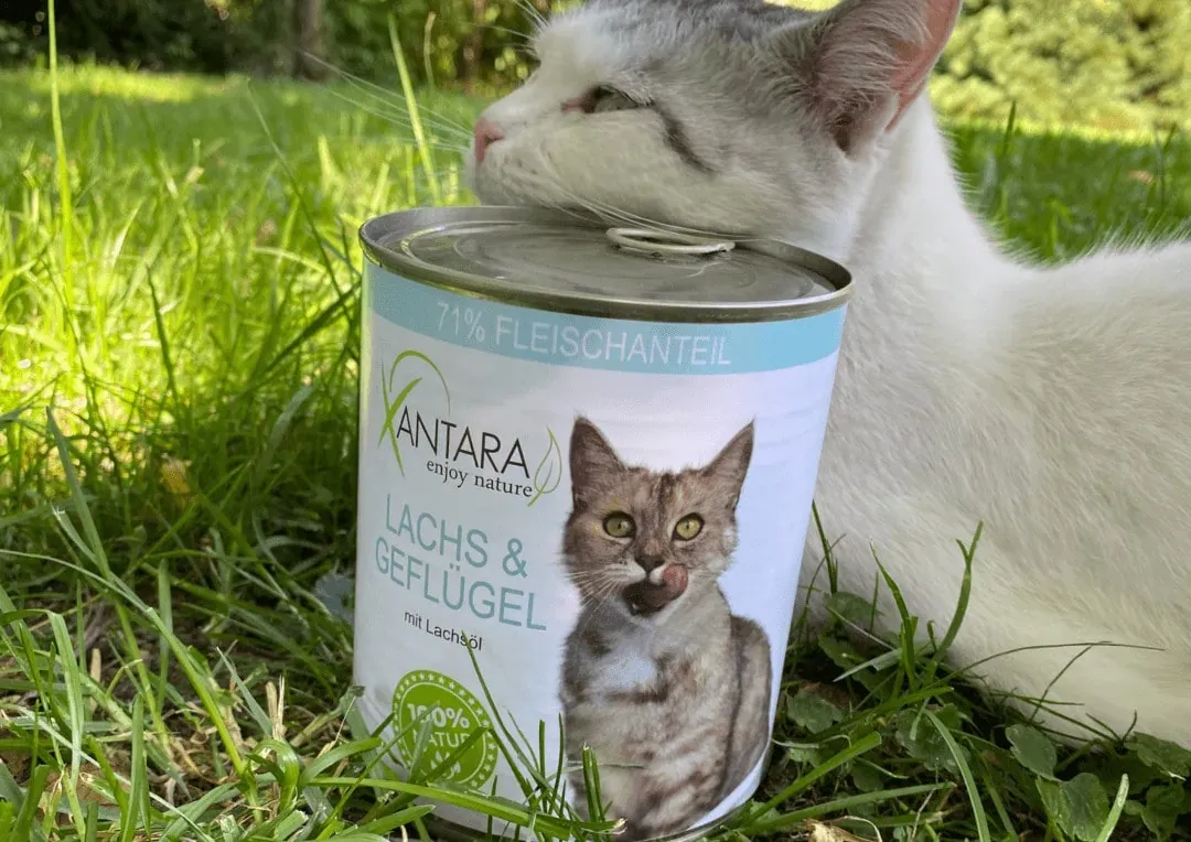 Lachs und Geflügel im Xantara Katzenfutter