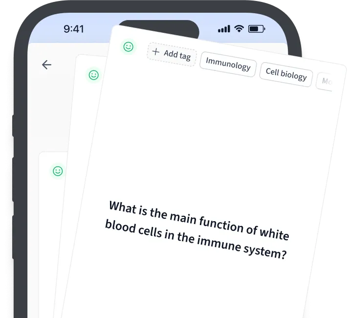 Lernmaterialien: Karteikarten