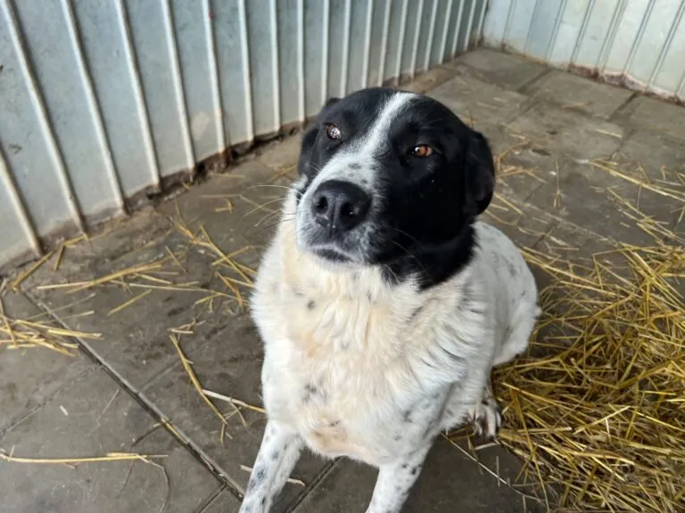 Lilly wartet nicht mehr